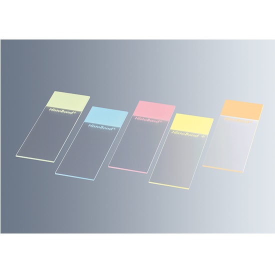 08.HistoBond-plus-slides